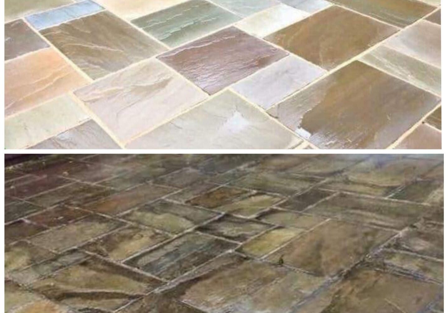 104033457_978733089249385_3584608383127522889_o